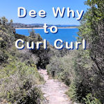 Dee Why to Curl Curl